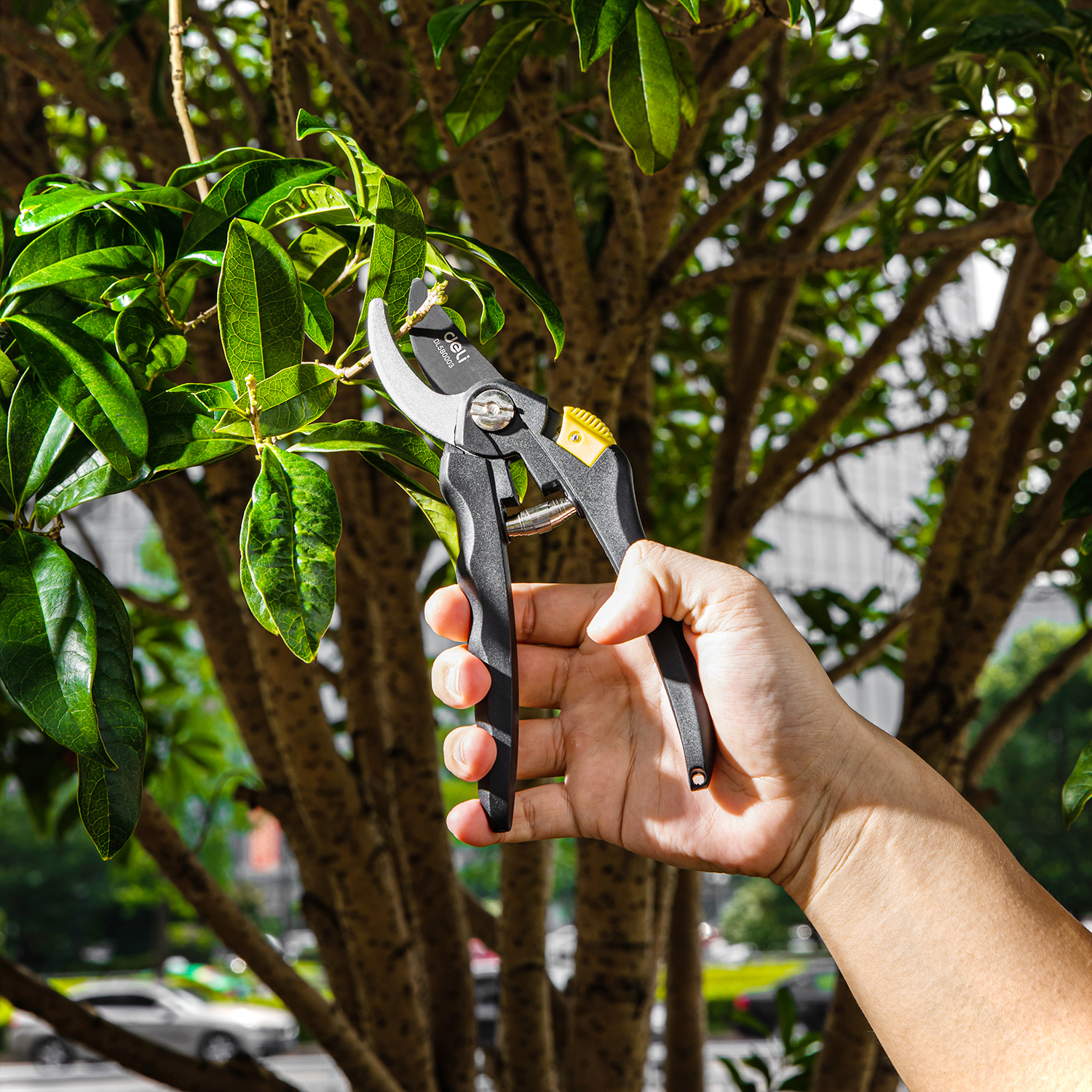 Gardening Shears 3pcs Set