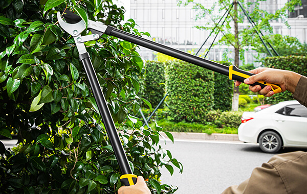 Gardening-Tools.jpg